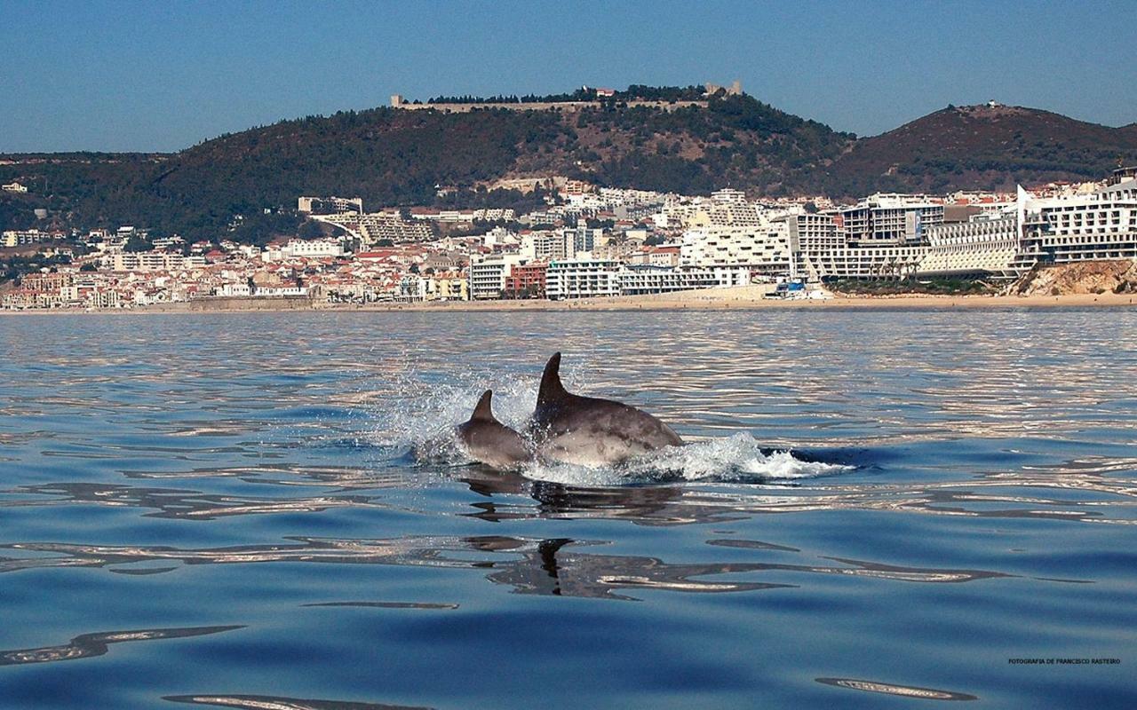 Felp Sesimbra Beach 1006 エクステリア 写真